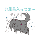 名犬！？オスカー♡（個別スタンプ：36）