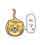 Dream the ニャンダー（個別スタンプ：1）