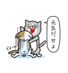 Dream the ニャンダー（個別スタンプ：16）