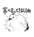 流浪侍と愉快な仲間達（個別スタンプ：17）