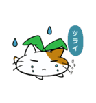 はむねこ（個別スタンプ：3）