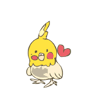 オカメインコスタンプ（個別スタンプ：38）