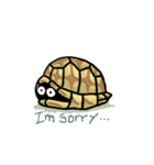 lazy turtule（個別スタンプ：19）