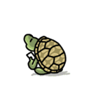 lazy turtule（個別スタンプ：36）