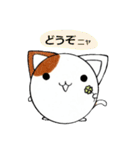 まるっとねこ（個別スタンプ：1）