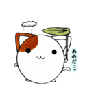 まるっとねこ（個別スタンプ：25）