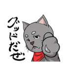 猫道（個別スタンプ：6）