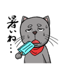 猫道（個別スタンプ：15）