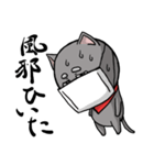 猫道（個別スタンプ：16）