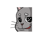 猫道（個別スタンプ：20）