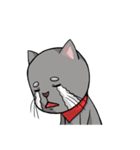 猫道（個別スタンプ：21）