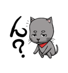 猫道（個別スタンプ：23）