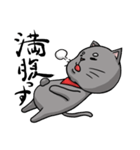 猫道（個別スタンプ：27）