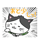 ドラねこ（個別スタンプ：14）