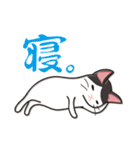 さんにゃんず（個別スタンプ：28）