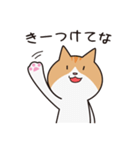 にゃんこのモンジャイ(関西弁)（個別スタンプ：14）