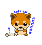 豆柴の子茶々（個別スタンプ：8）