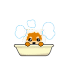 豆柴の子茶々（個別スタンプ：10）