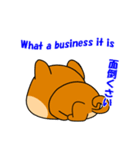 豆柴の子茶々（個別スタンプ：17）