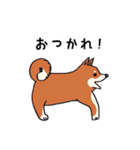 カナガワ犬（個別スタンプ：11）