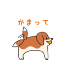 カナガワ犬（個別スタンプ：17）