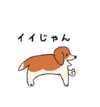 カナガワ犬（個別スタンプ：18）