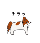 カナガワ犬（個別スタンプ：27）