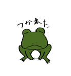 緑のカエル（個別スタンプ：3）