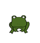 緑のカエル（個別スタンプ：10）