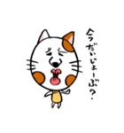 かわいい猫の会話（個別スタンプ：16）