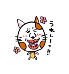 かわいい猫の会話（個別スタンプ：19）