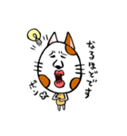 かわいい猫の会話（個別スタンプ：31）