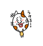 かわいい猫の会話（個別スタンプ：33）