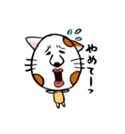 かわいい猫の会話（個別スタンプ：36）