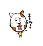 かわいい猫の会話（個別スタンプ：40）