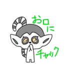 ワオキツネザルと一緒（個別スタンプ：20）