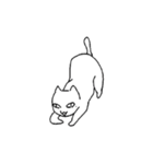 白猫のロビン（個別スタンプ：1）