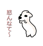 新潟代表！ベンたま(・へ・)（個別スタンプ：19）