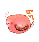 もふもふインコちゃん（個別スタンプ：14）