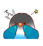 もふもふインコちゃん（個別スタンプ：16）