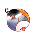 もふもふインコちゃん（個別スタンプ：21）