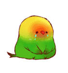 もふもふインコちゃん（個別スタンプ：34）