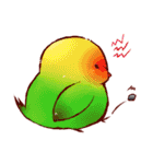もふもふインコちゃん（個別スタンプ：35）