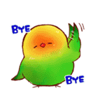 もふもふインコちゃん（個別スタンプ：40）