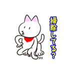 チェック好きのねこくん（個別スタンプ：14）