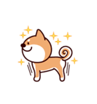 柴犬がゆく！（個別スタンプ：11）