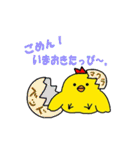 赤ピヨくん（個別スタンプ：17）