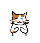 茶ぶちねこ（個別スタンプ：4）