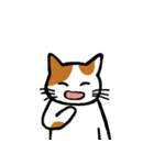 茶ぶちねこ（個別スタンプ：6）