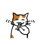 茶ぶちねこ（個別スタンプ：8）